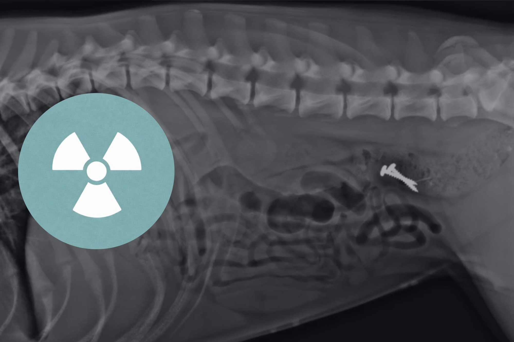 Radiographie: module 1